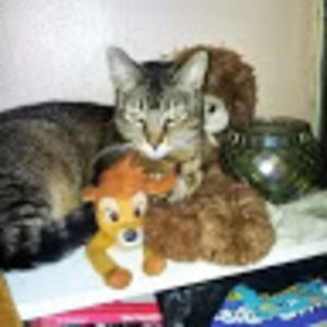 Meet your Posher, Karen